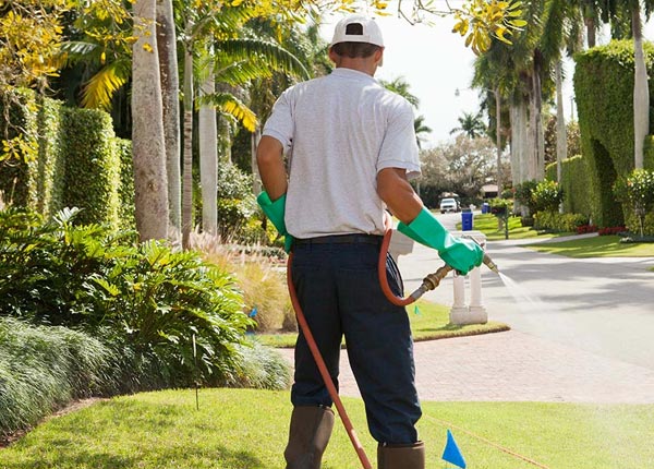 About Peridot AZ Pest Control